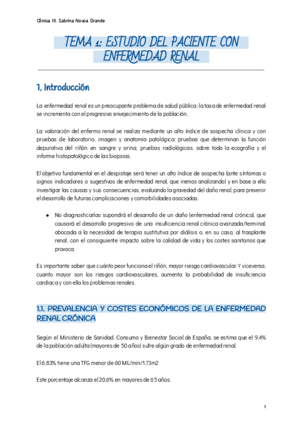Miniatura del documento ESTUDIO-DEL-PACIENTE-CON-ENFERMEDAD-RENAL-2.pdf