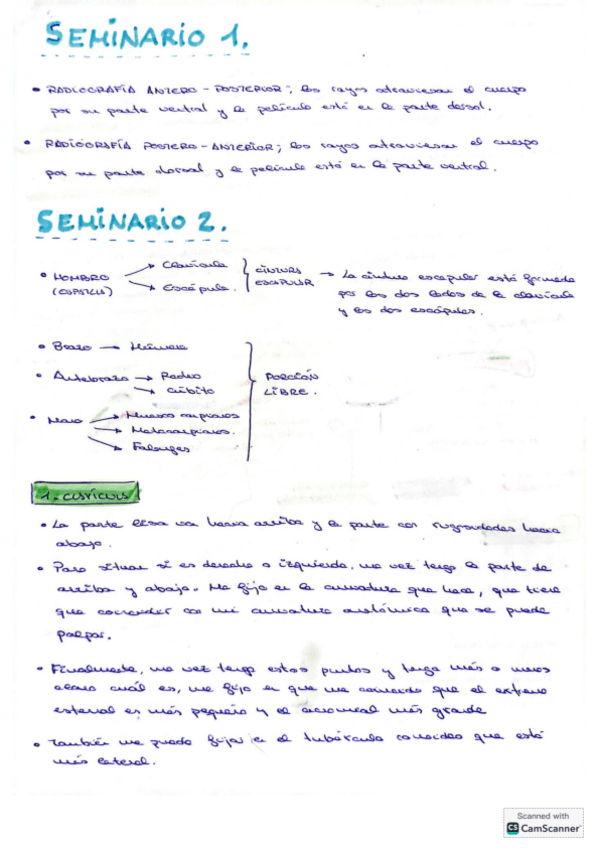 Miniatura del documento Seminarios-extremidad-superior-2024.pdf
