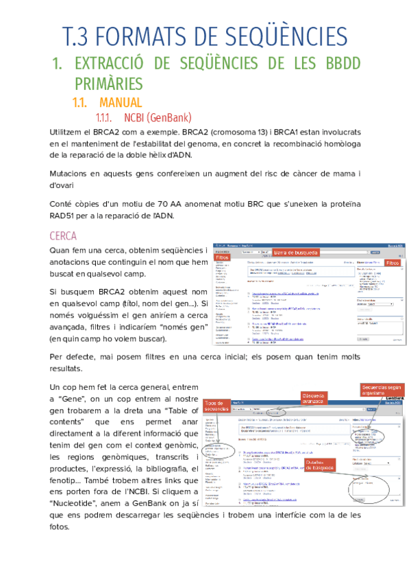 Miniatura del documento T.3-FORMATS-DE-SEQUENCIES.pdf