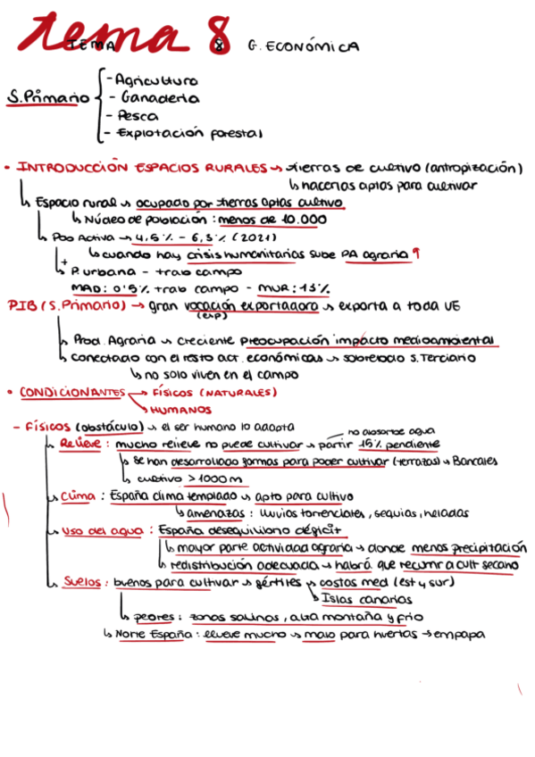 Miniatura del documento tema-8-y-9-geo-urbana.pdf