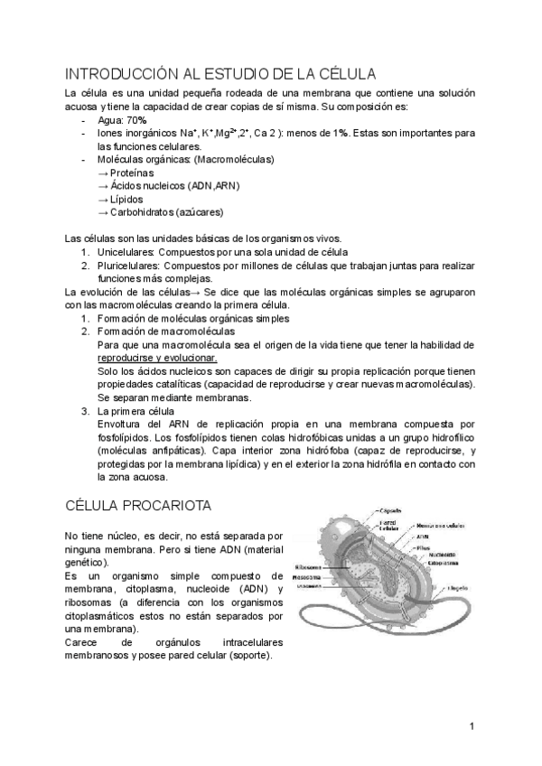 Miniatura del documento Apuntes-Biologia.pdf