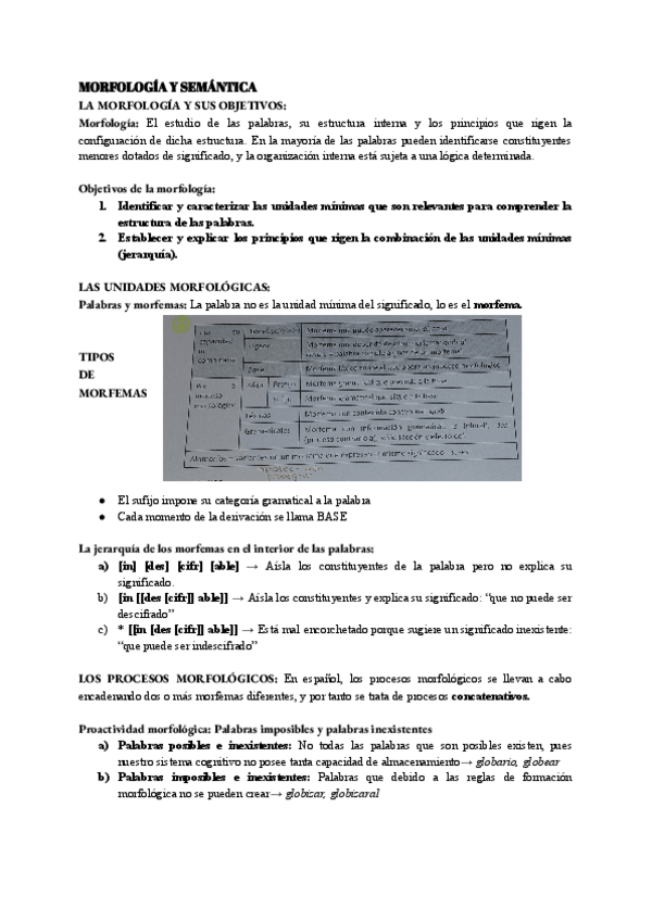 Miniatura del documento UNIDAD-4-Morfologia.pdf