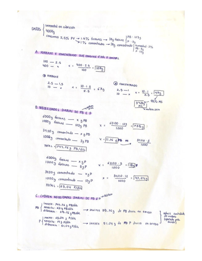 Miniatura del documento RACION.pdf