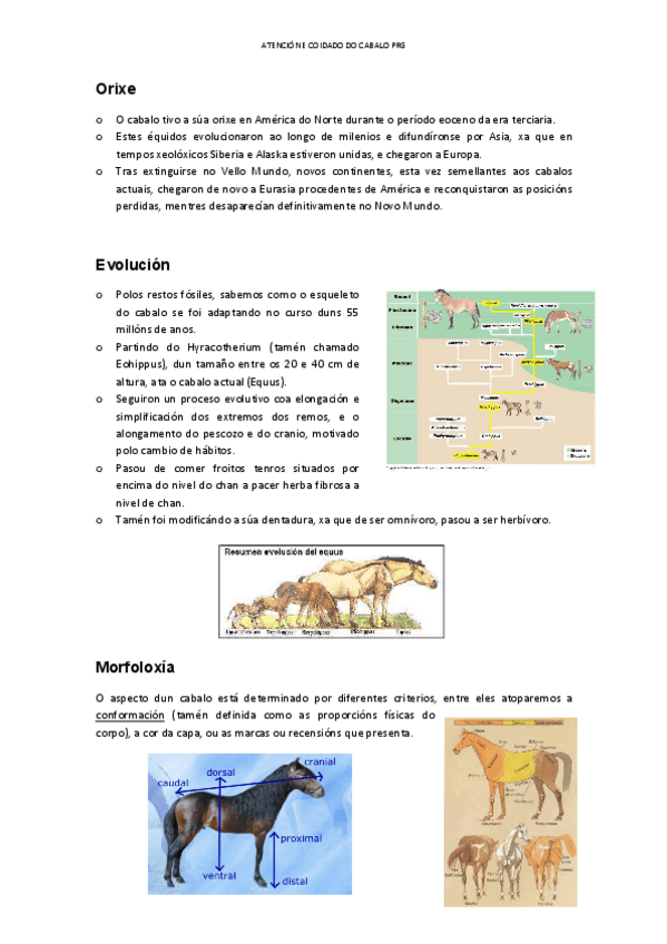 Miniatura del documento APUNTES-CAPAS.pdf