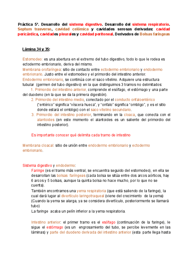 Miniatura del documento PRACTICA-EMBRIO-5-Laura-Romero.pdf
