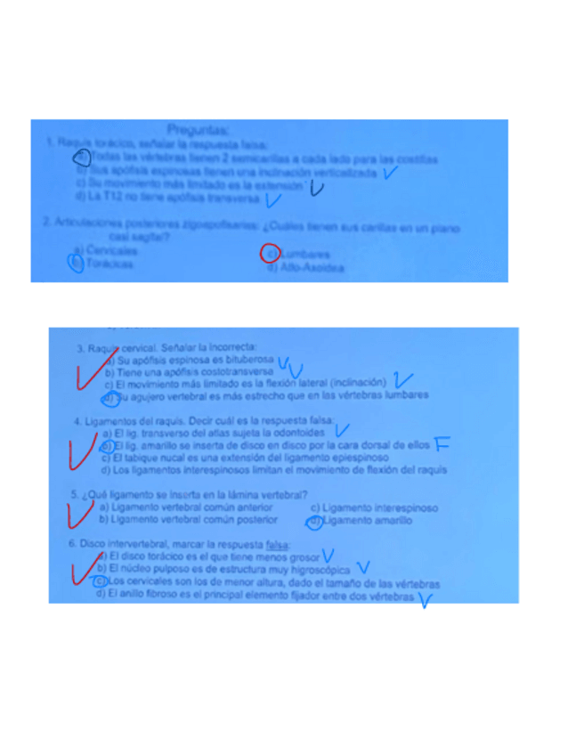 Miniatura del documento Parcial-Anato.pdf