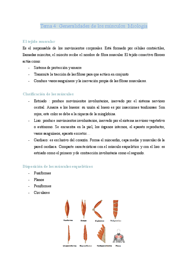 Miniatura del documento Tema-4-Generalidades-de-los-musculos.pdf