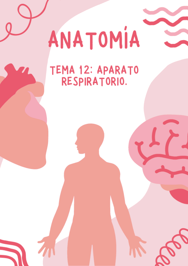 Miniatura del documento tema-12-anatomia.pdf