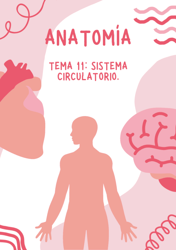 Miniatura del documento tema-11-anatomia.pdf