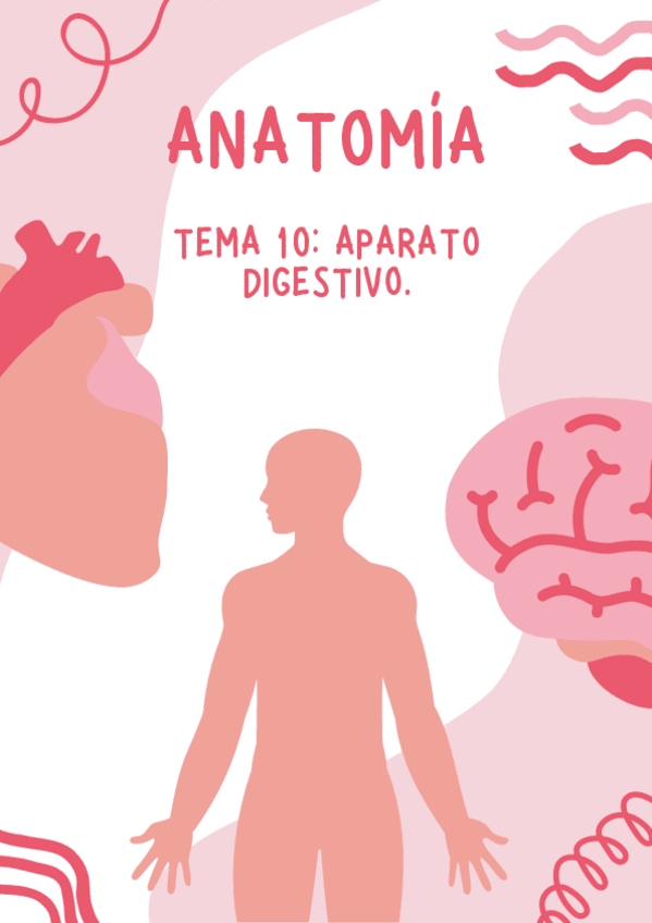 Miniatura del documento tema-10-anatomia.pdf