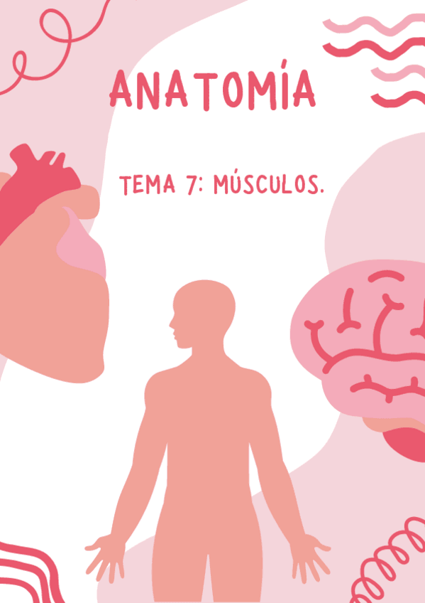 Miniatura del documento tema-7-anatomia.pdf