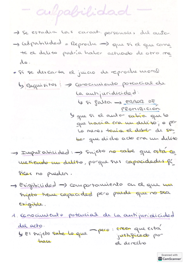 Miniatura del documento CULPABILIDAD.pdf