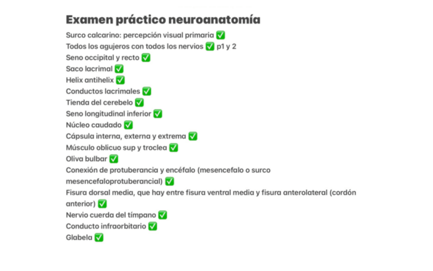 Miniatura del documento Examen-practico-neuroanatomia-junio-23-24.pdf