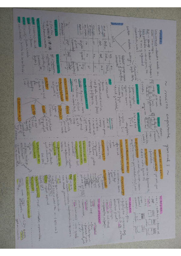 Miniatura del documento Esquemas-micro.pdf