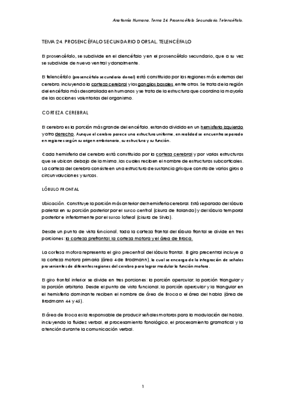 Miniatura del documento Tema-24.-Prosencefalo-Secundario-Dorsal.-Telencefalo-FINAL.pdf
