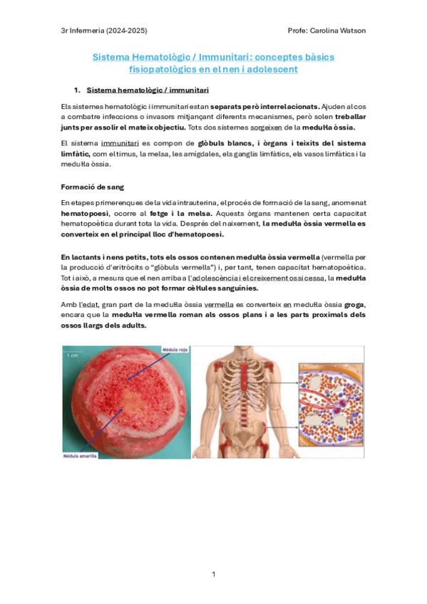 Miniatura del documento Sistema-Hematologic-i-Immunologic.pdf