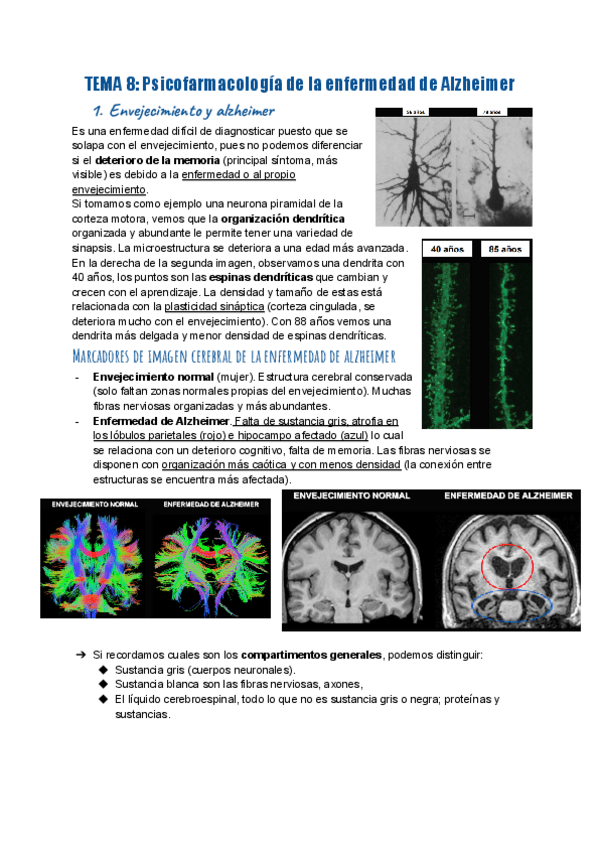 Miniatura del documento TEMA-8-Psicofarmacologia-de-la-enfermedad-de-Alzheimer.pdf