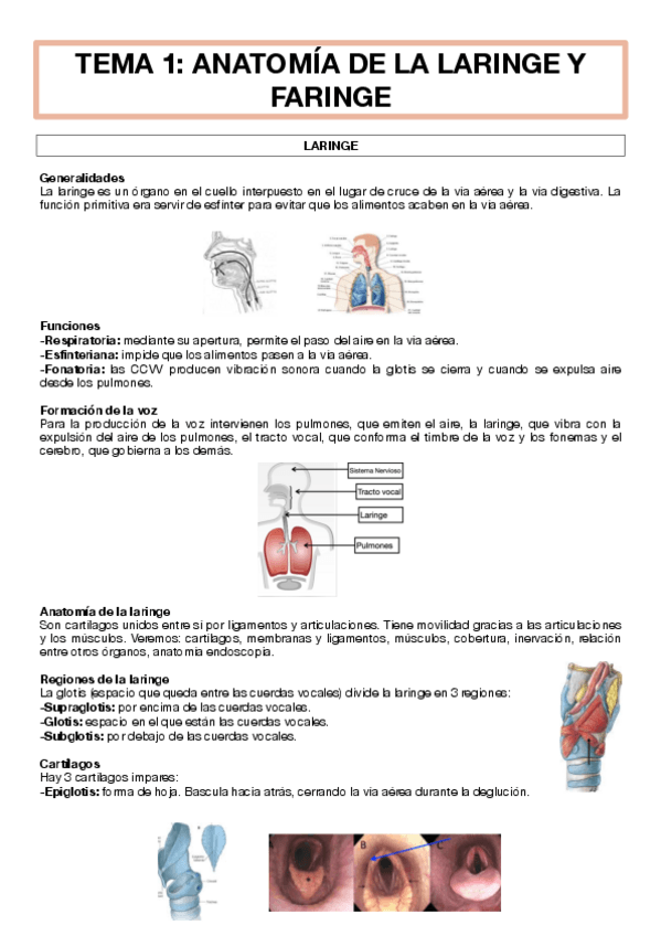 Miniatura del documento tema-1-imp.pdf