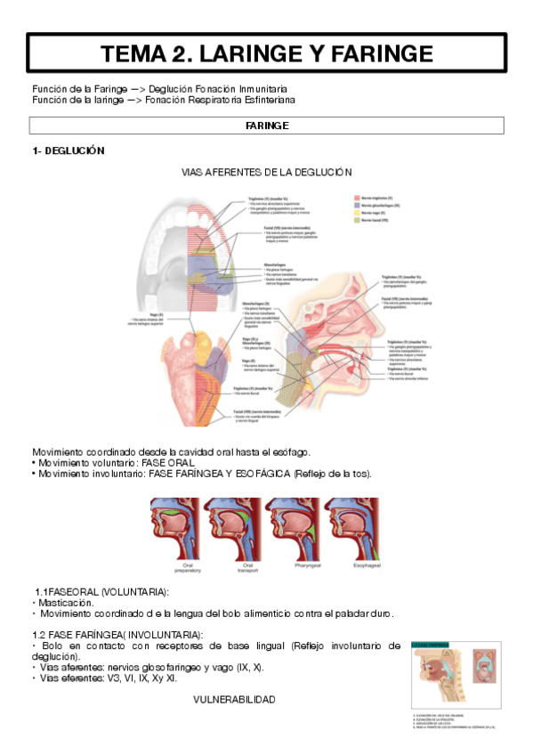 Miniatura del documento TEMA-2-IMP.pdf