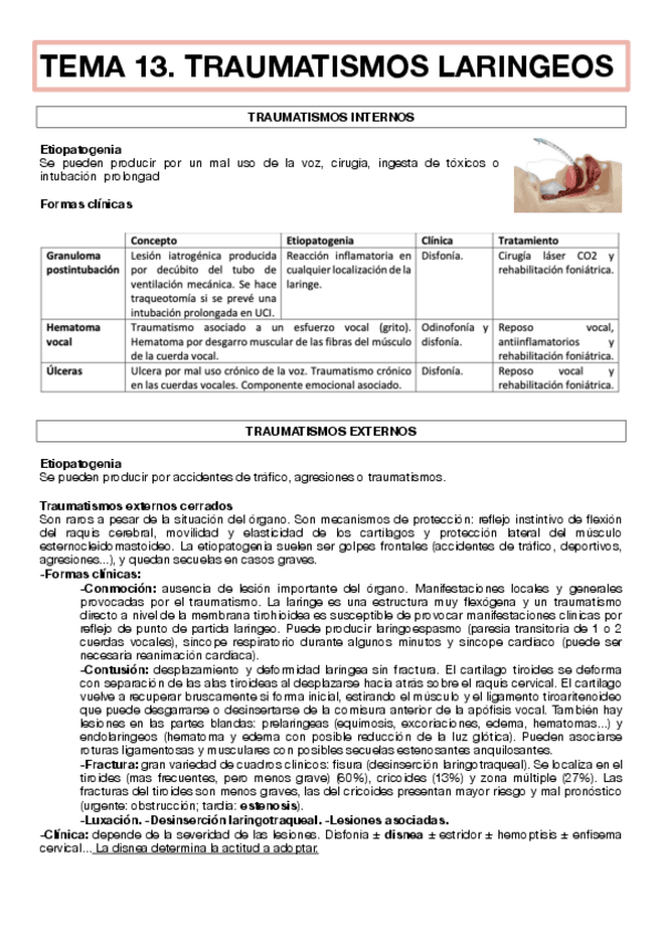 Miniatura del documento TEMA-13-IMP.pdf