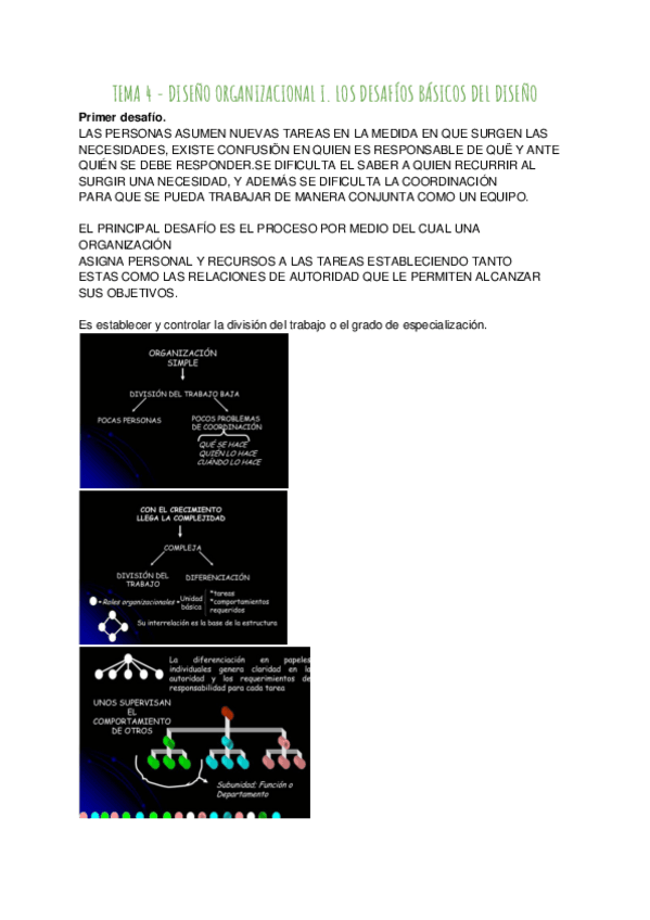 Miniatura del documento TEMA-4-TRANSPARENCIAS-DISENO-ORGANIZACIONAL-I.pdf