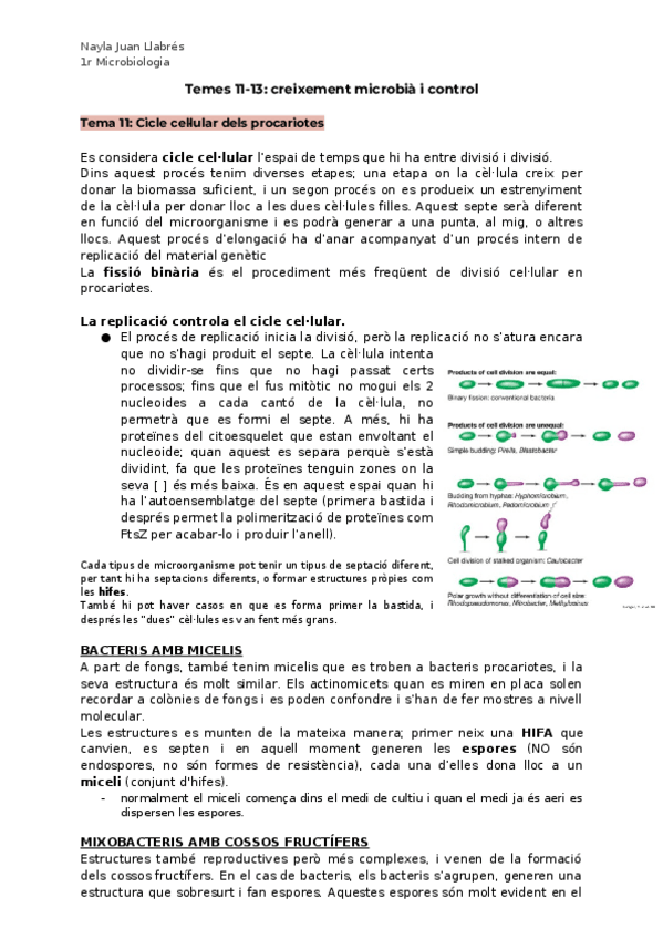 Miniatura del documento temes-11-13-micro.docx