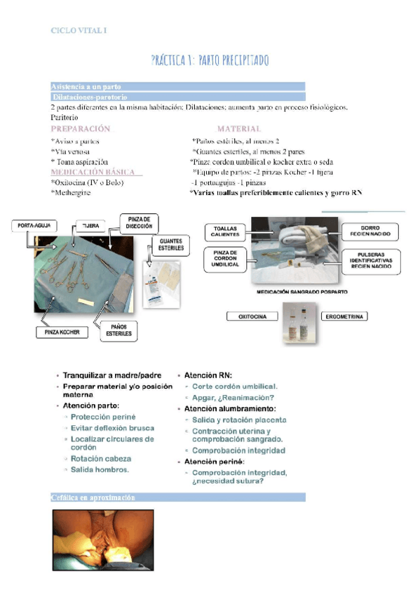 Miniatura del documento practica-1.pdf