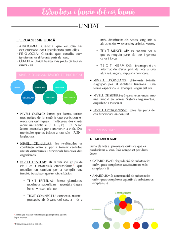 Miniatura del documento EFCH-1r-TRIMESTRE-TOT.pdf