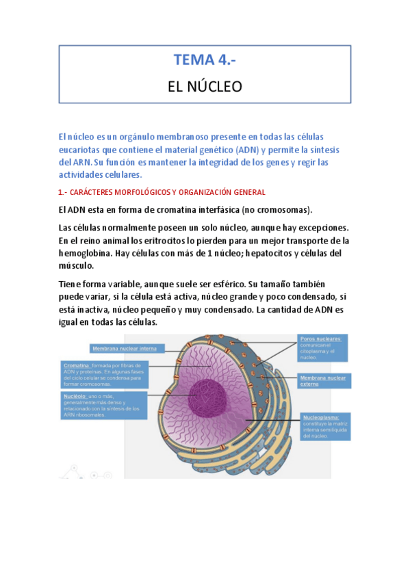 Miniatura del documento tema-4.pdf