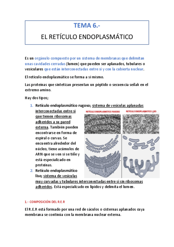 Miniatura del documento tema-6.pdf