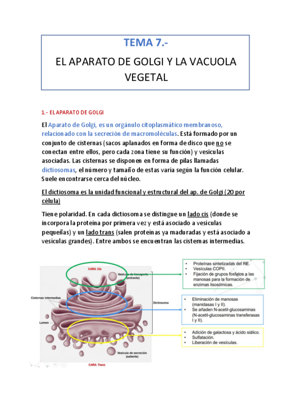Miniatura del documento tema-7.pdf