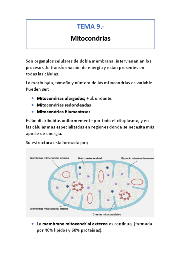 Miniatura del documento tema-9.pdf