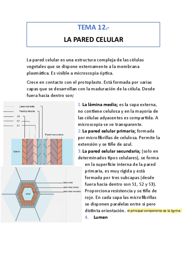 Miniatura del documento tema-12.pdf