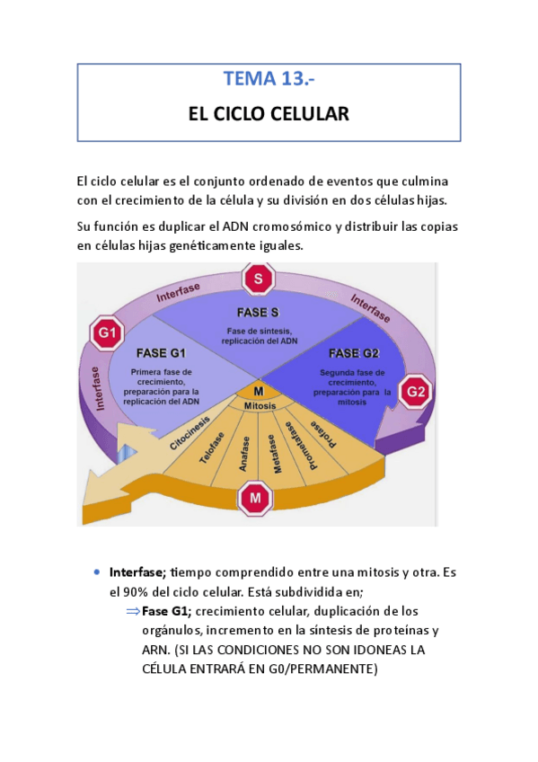 Miniatura del documento tema-13.pdf