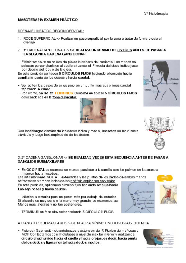 Miniatura del documento MASOTERAPIA.pdf