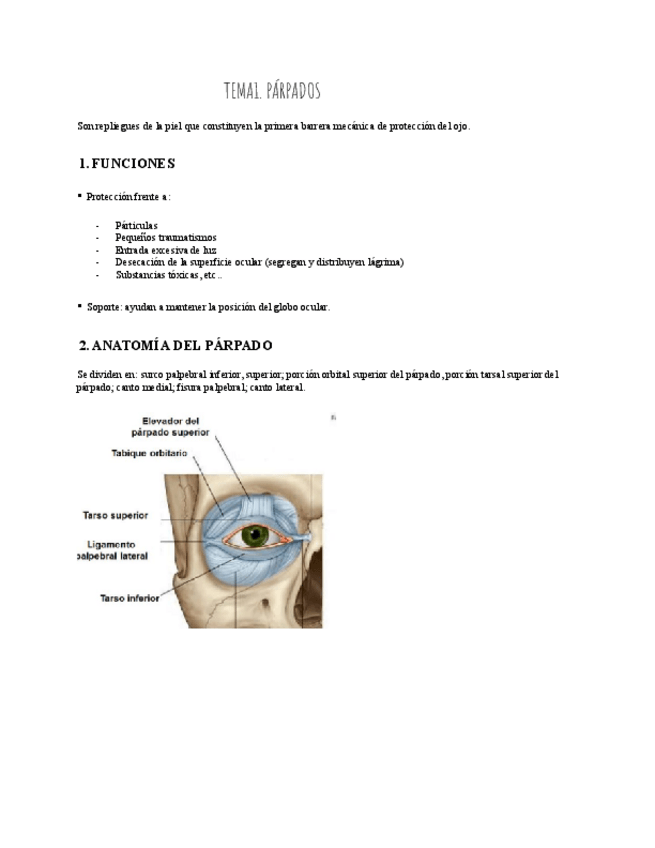 Miniatura del documento Fisiologia-ocular.pdf