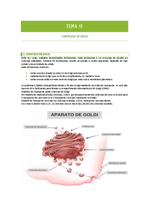 Miniatura del documento TEMAS-11-12-13-14-15.pdf