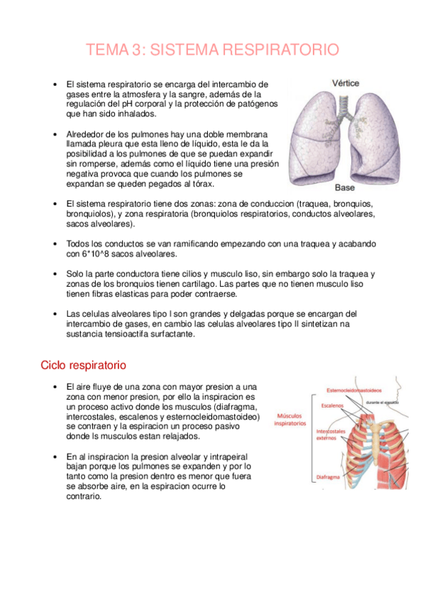 Miniatura del documento Tema3Sistema-respiratorio.pdf
