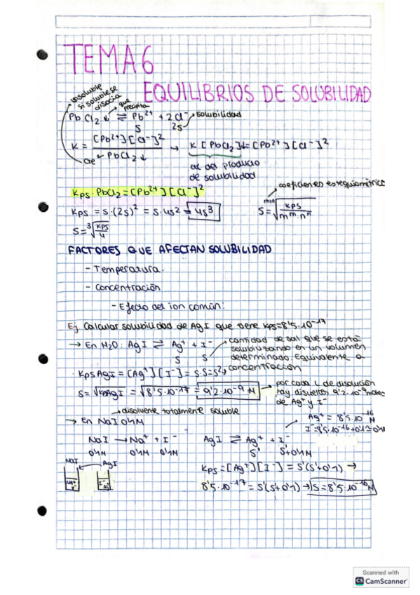 Miniatura del documento Tema-6.-Equilibrios-de-solubilidad.pdf