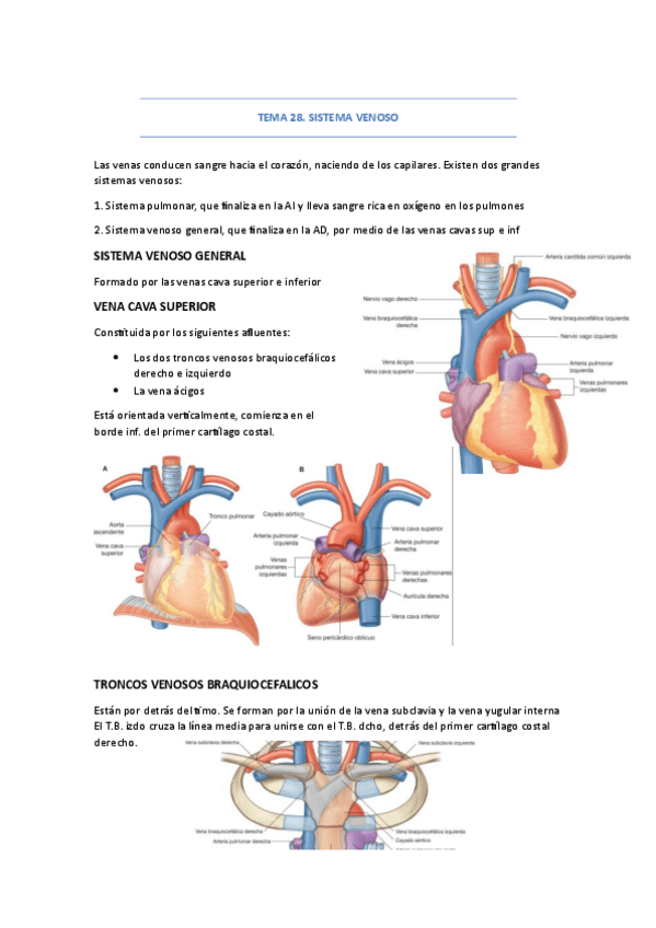 Miniatura del documento temas-28-a-38.pdf