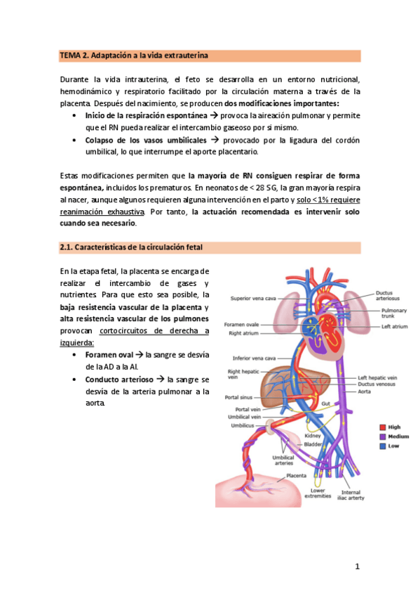 Miniatura del documento TEMA-2.1.-AdaptacionExtrauterina.pdf
