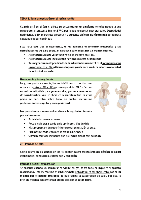 Miniatura del documento TEMA-2.2.-TermorregulacionRN.pdf