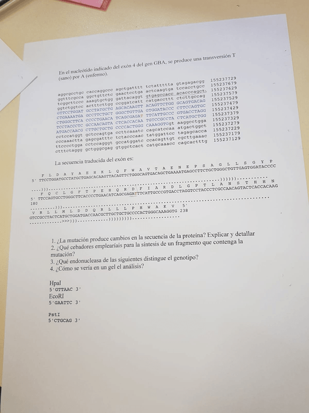 Miniatura del documento IMG-20181102-WA0007.jpg