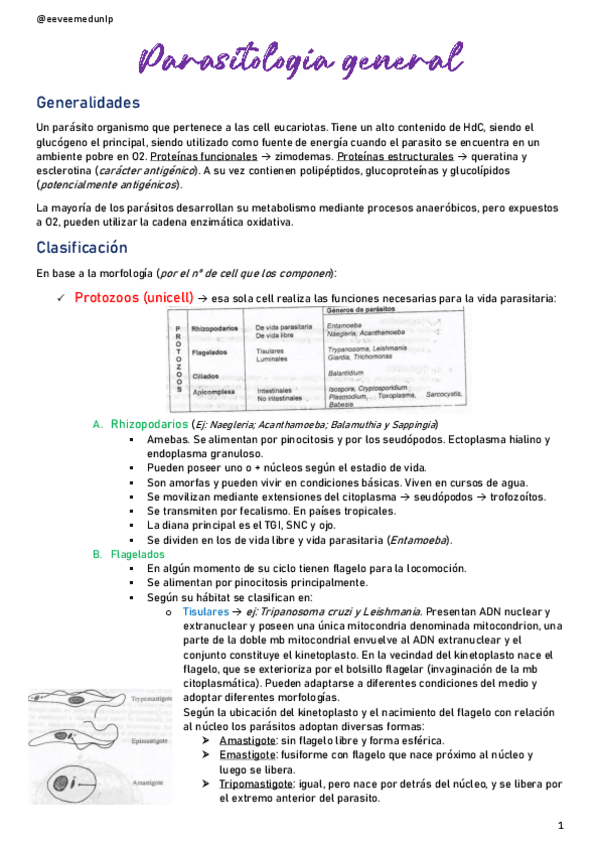 Miniatura del documento Parasitologia-general.pdf