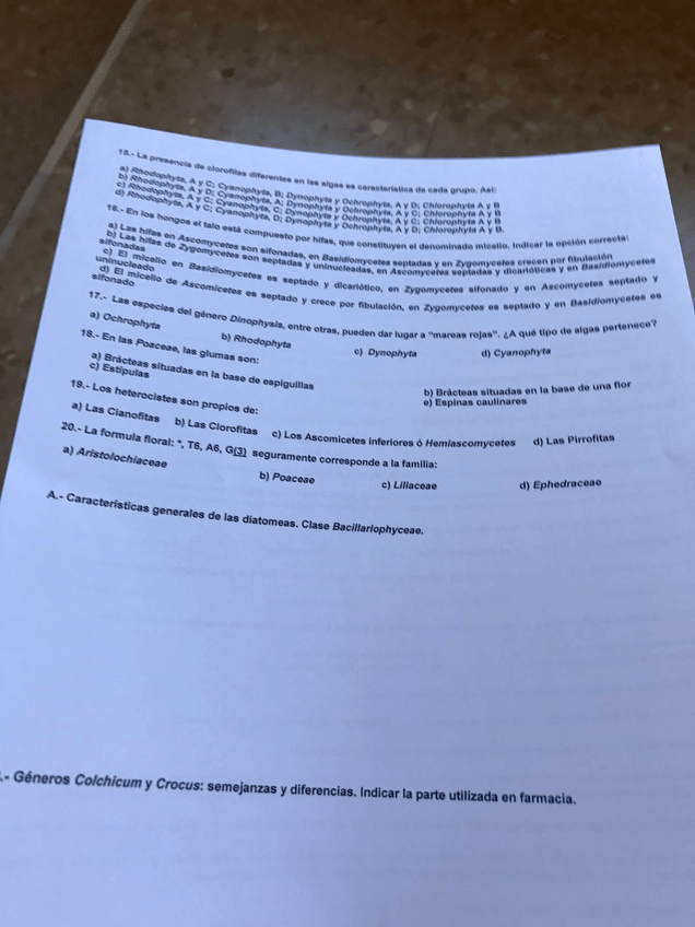 Miniatura del documento 0_IMG-20170810-WA0001.jpg