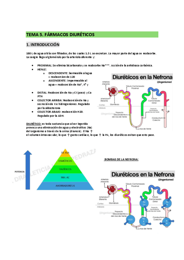 Miniatura del documento t5-farma.pdf