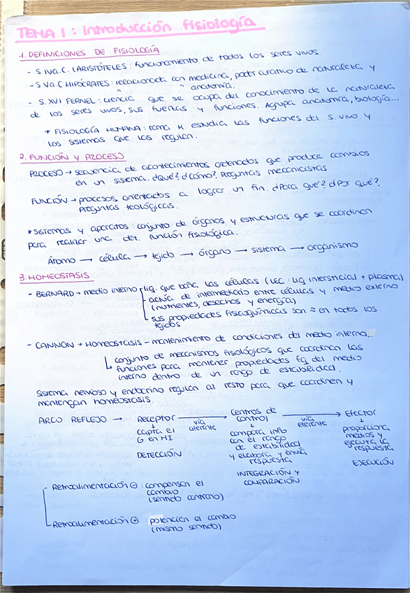 Miniatura del documento Apuntes-parcial-1-fisio-I.pdf