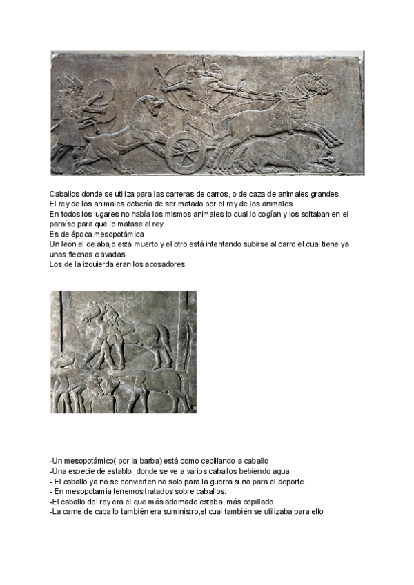 Miniatura del documento observacion-imagenes.pdf