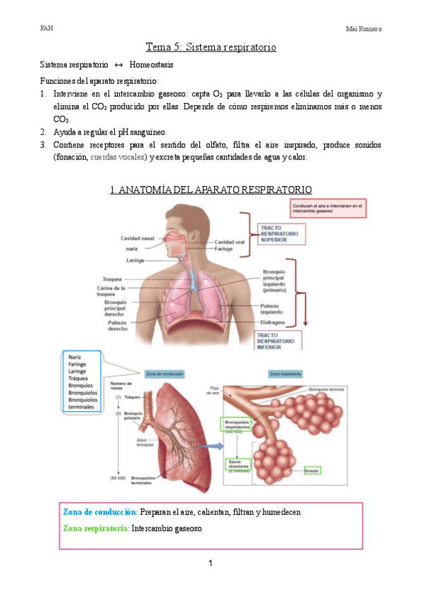 Miniatura del documento FAH-segundo-parcial.pdf
