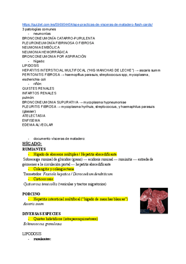 Miniatura del documento practico-ape.pdf
